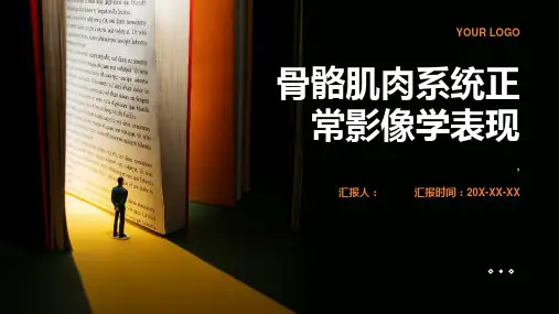 骨骼肌肉系统正常影像学表现