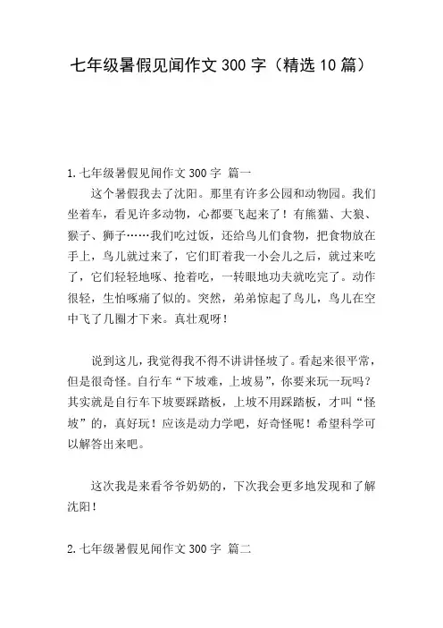 七年级暑假见闻作文300字(精选10篇)