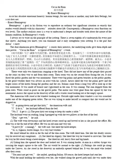 雨中的猫