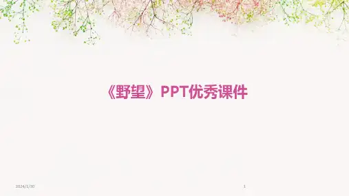 《野望》PPT优秀课件(2024)