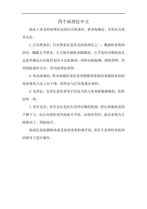 四个病理征中文
