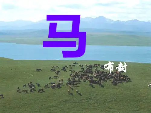 七年级语文29课_《马》