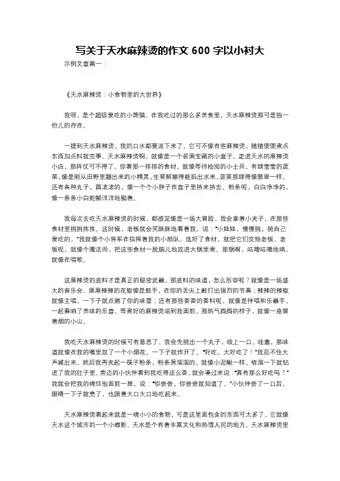 写关于天水麻辣烫的作文600字以小衬大