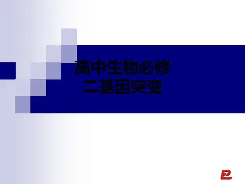 高中生物必修二基因突变ppt课件