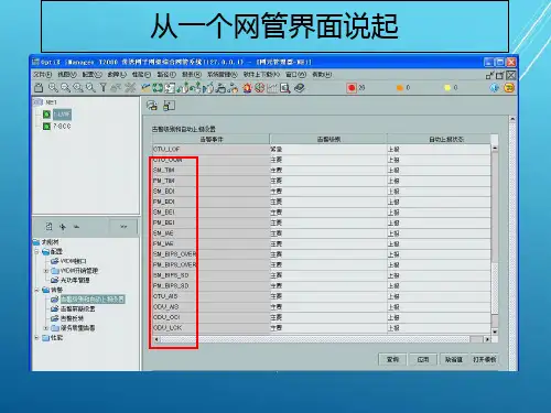 光传输第10章 光纤通信新技术(OTN介绍)PPT课件