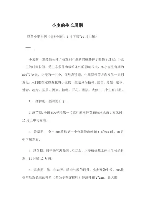 冬小麦生长周期(可直接使用).doc