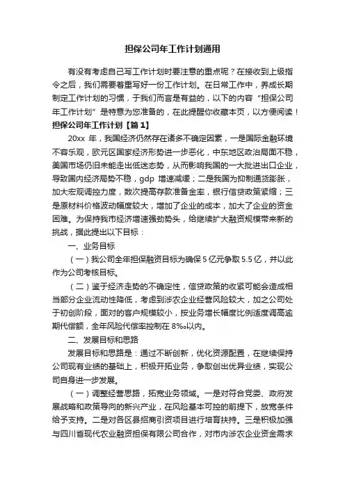 担保公司年工作计划通用