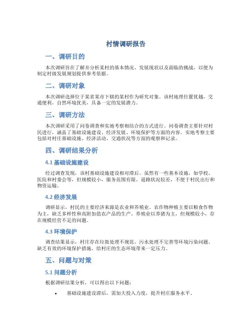 村情调研报告
