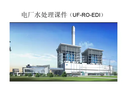 电厂水处理(UF+RO+EDI)