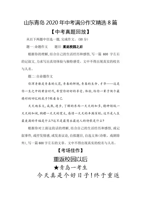 山东青岛2020年中考满分作文精选8篇