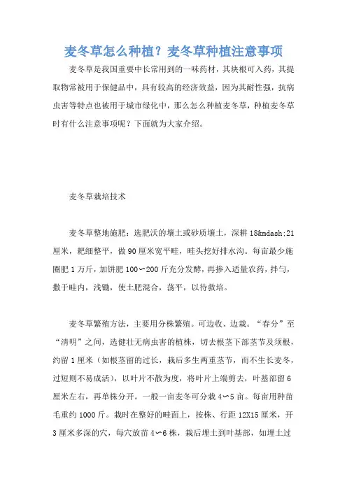 麦冬草怎么种植？麦冬草种植注意事项