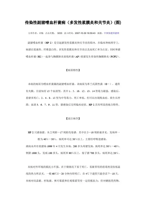 副猪