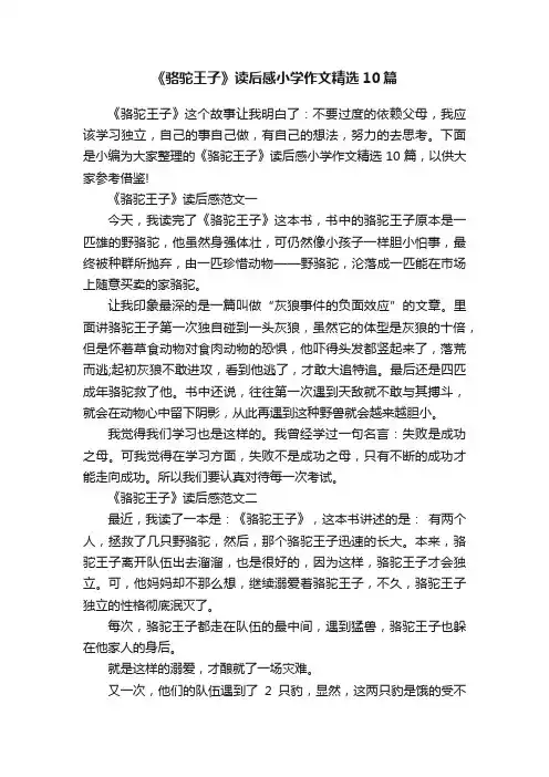《骆驼王子》读后感小学作文精选10篇