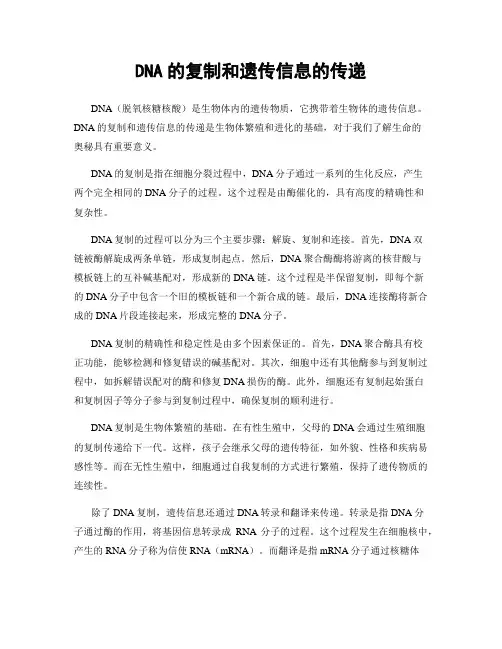 DNA的复制和遗传信息的传递