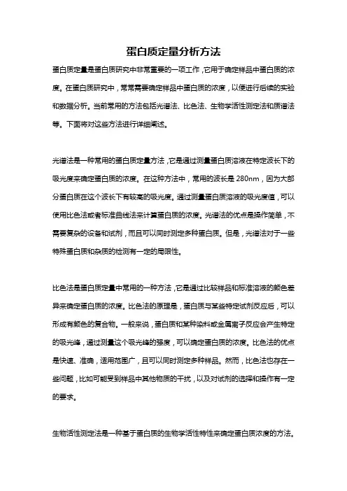 蛋白质定量分析方法
