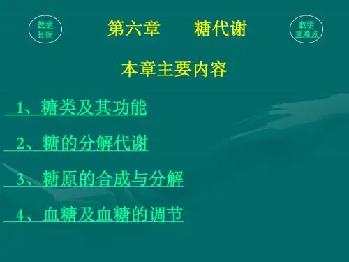生化教案--糖代谢