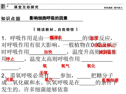 高中生物《影响呼吸作用的因素》课件(浙科必修)(共张PPT)