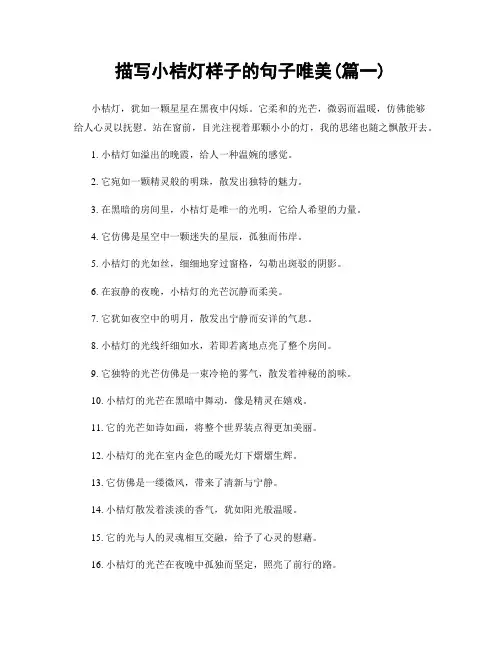 描写小桔灯样子的句子唯美(精选合集2篇)