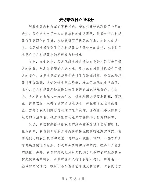 走访新农村心得体会