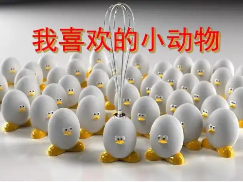 作文指导：我喜欢的小动物1