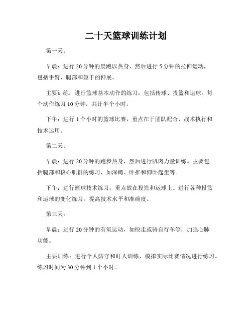 二十天篮球训练计划
