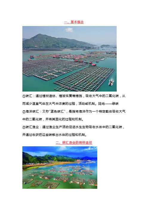 高考地理中的海洋碳汇渔业