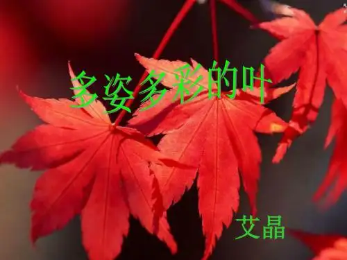 2.多彩布艺世界