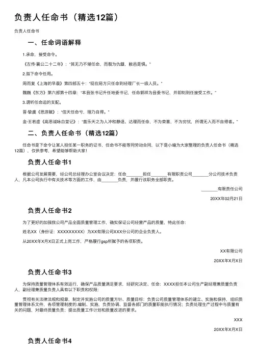 负责人任命书（精选12篇）