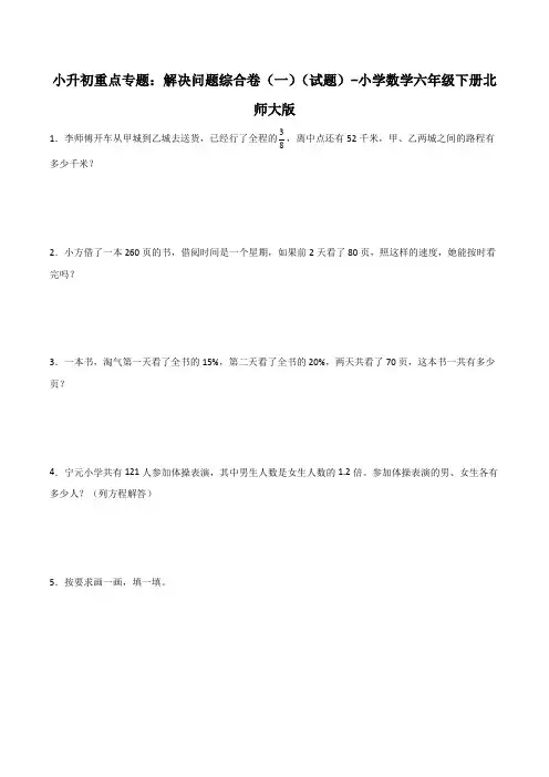 小升初重点专题：解决问题综合卷(一)(试题)-小学数学六年级下册北师大版
