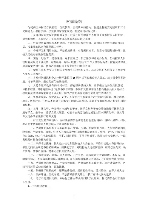 某某村村规民约
