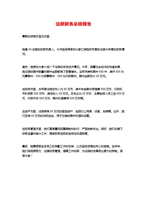 法院财务总结报告