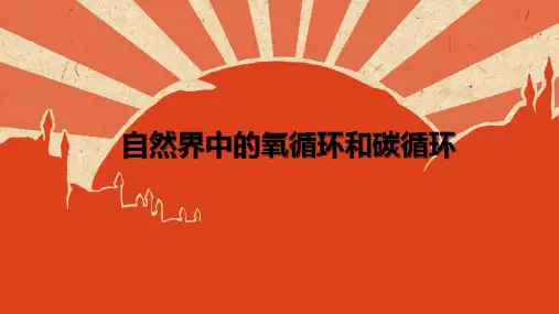 第7节自然界中的氧循环和碳循环(PPT课件(初中科学)22张)