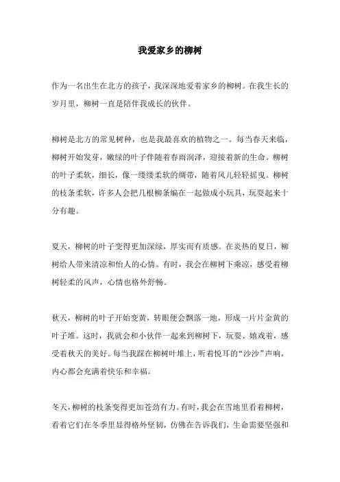 我爱家乡的柳树