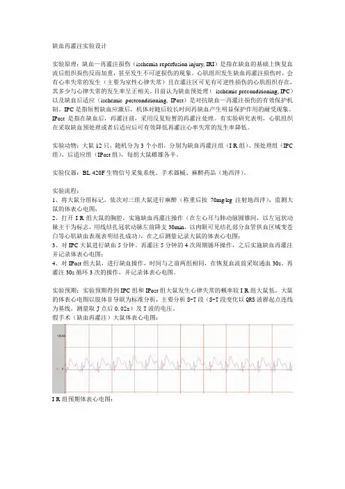 缺血再灌注实验设计