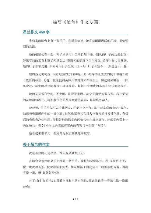 描写《吊兰》作文6篇