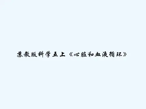 苏教版科学五上《心脏和血液循环》 PPT