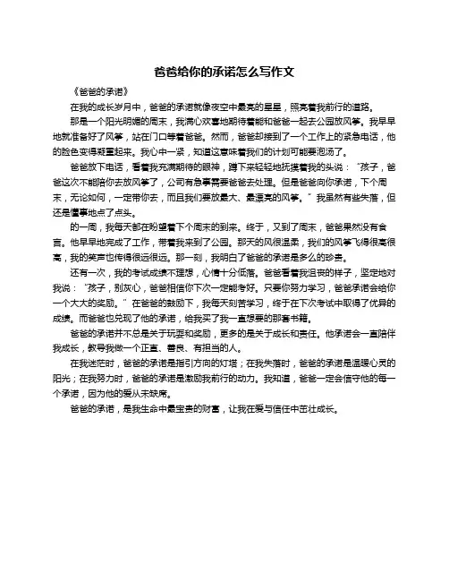爸爸给你的承诺怎么写作文