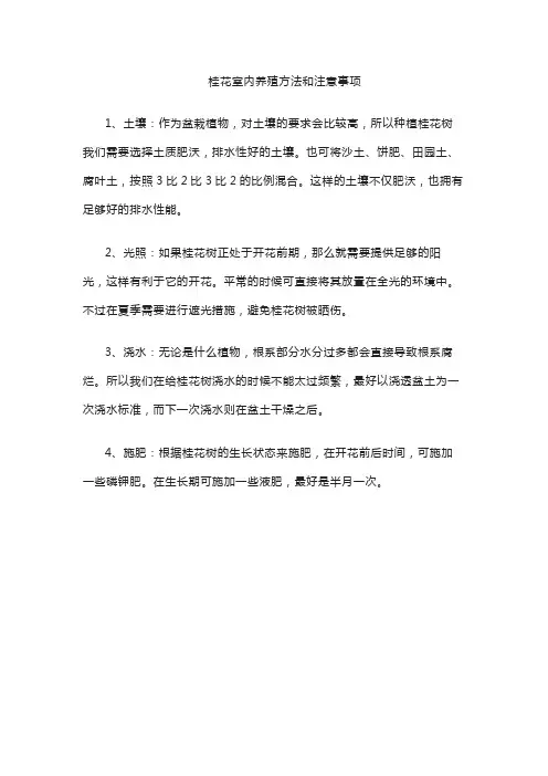 桂花室内养殖方法和注意事项