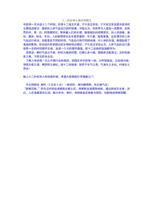 十二时辰和人体经络图文
