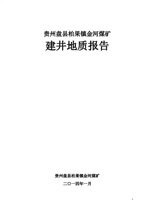 贵州盘县柏果镇金河煤矿建井地质报告