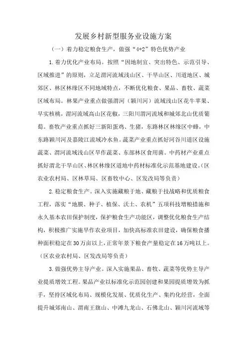 发展乡村新型服务业设施方案