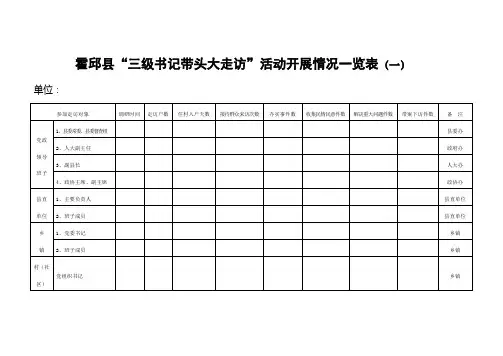 大走访统计表