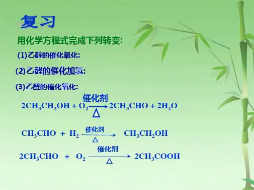 第六节乙酸羧酸上课用(共31张PPT)