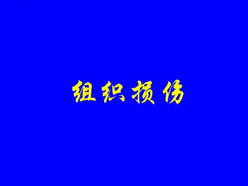 第8版病理学第1章《适应与损伤》