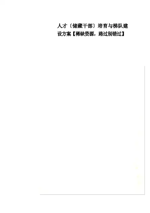 人才(储备干部)培养与梯队建设方案
