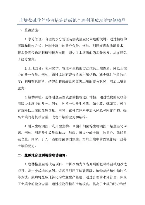 土壤盐碱化的整治措施盐碱地合理利用成功的案例精品