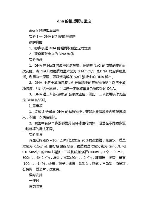 dna的粗提取与鉴定