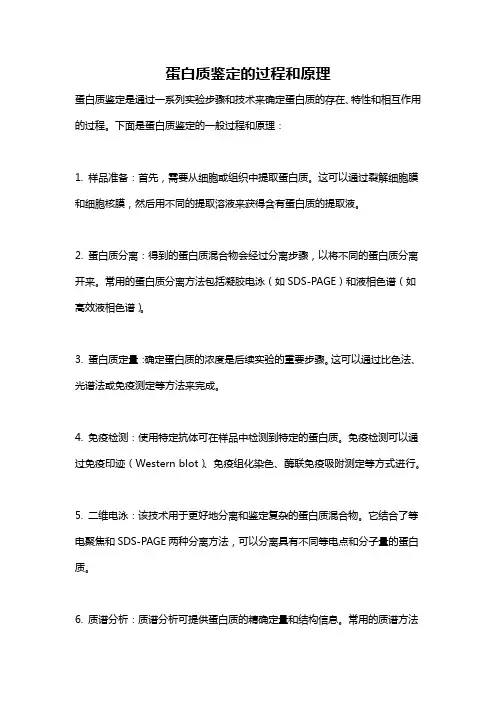 蛋白质鉴定的过程和原理