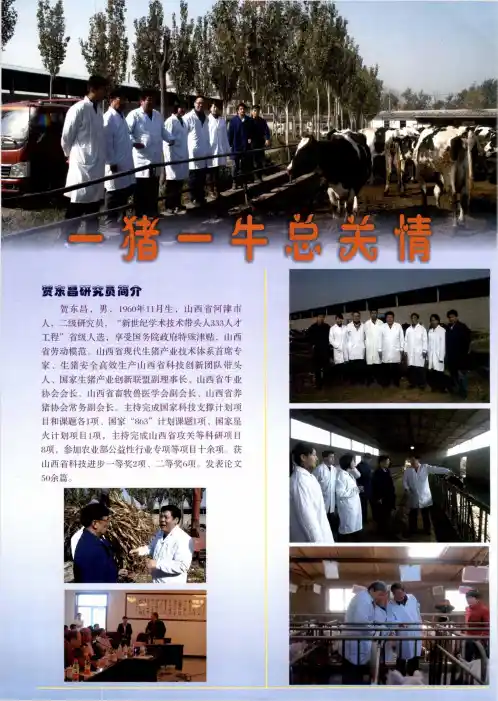 一猪一牛总关情