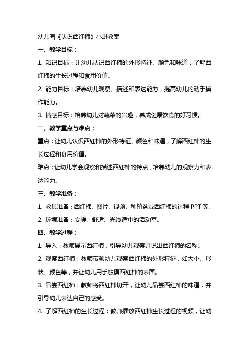 幼儿园《认识西红柿》小班教案
